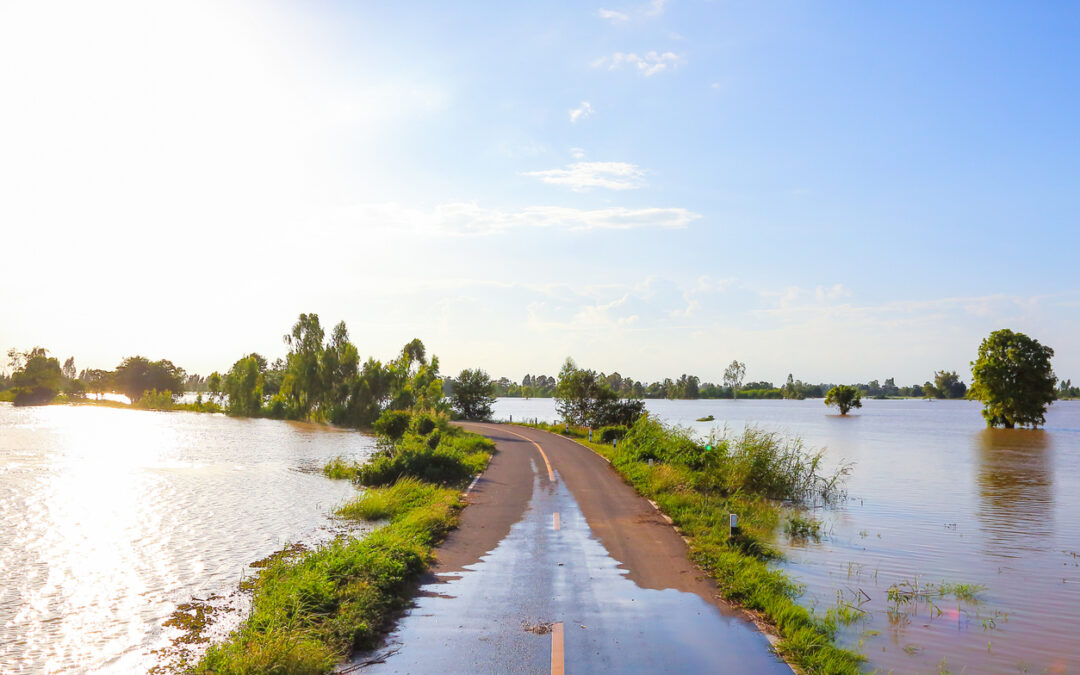 Infrastructure Management Consulting - a road with water and trees