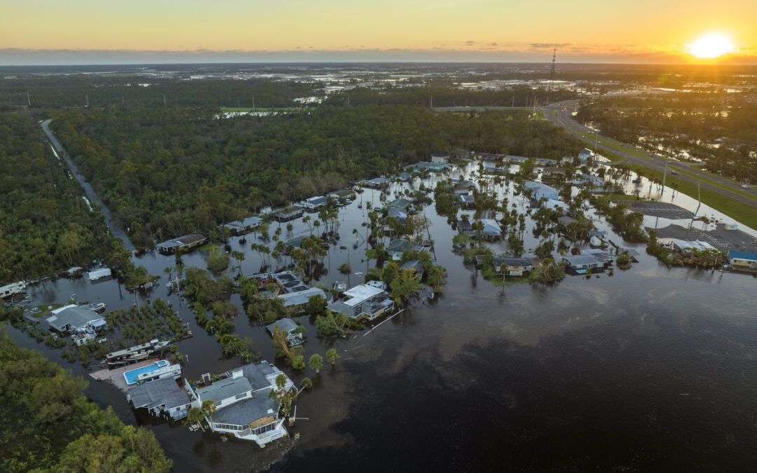 a flooded area with houses and trees - Building Back Sustainable Communities After Disaster