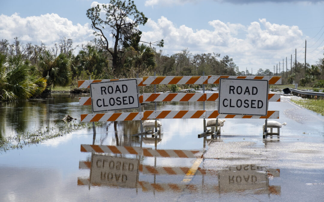 Leveraging Federal Programs for Disaster Recovery: An In-Depth Look