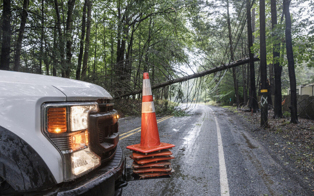 Roadblock with traffic cones and utility truck near fallen tree on a rainy forest road. - Money During Disaster Recovery