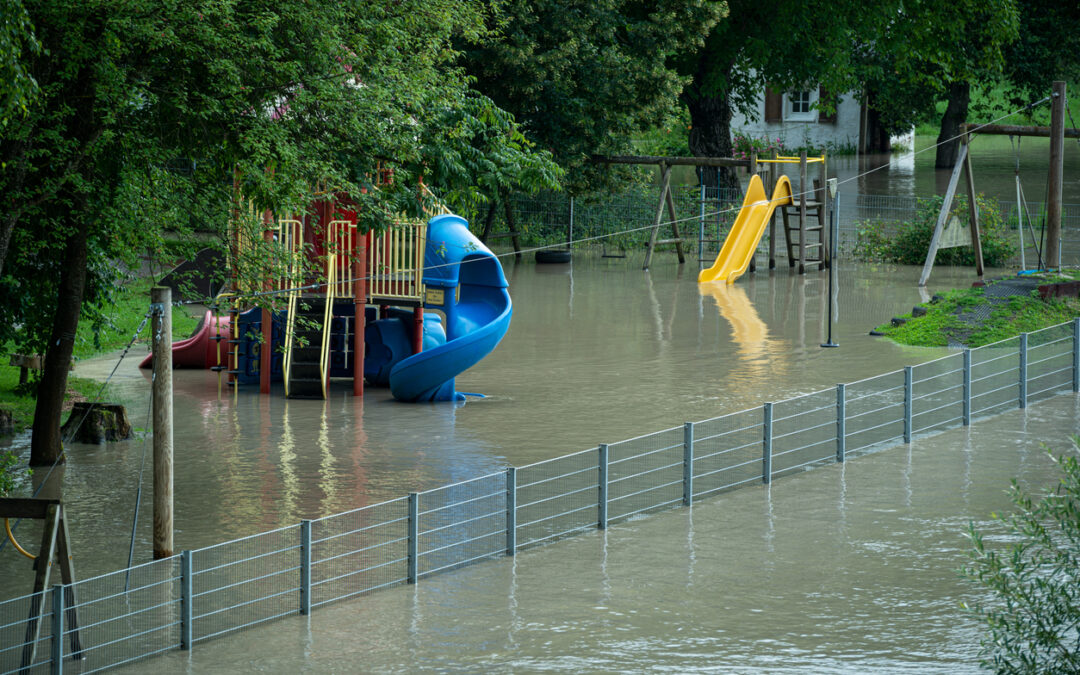 Effective Disaster Recovery for Schools and Public Buildings: Ensuring Swift and Efficient Restoration